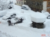 campitello_2014_01
