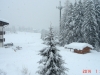 campitello_2014_03