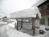 campitello_2014_22