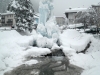 campitello_2014_31