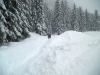 campitello_2014_32