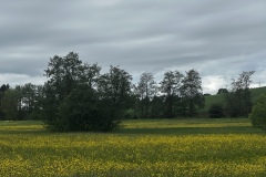 Radtour_20240505_00005