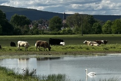 Radtour_20240505_00019