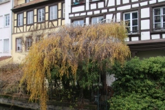Senioren_20221203_065