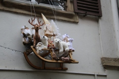 Senioren_20221203_067