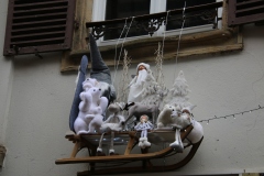 Senioren_20221203_068