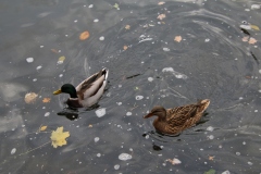 Senioren_20221203_073