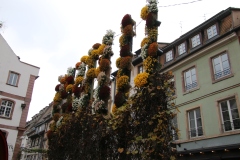 Senioren_20221203_081