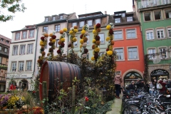 Senioren_20221203_082