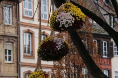 Senioren_20221203_085