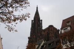 Senioren_20221203_091
