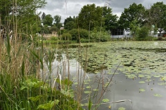 Senioren_20230523_13