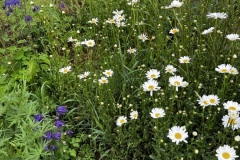 Senioren_20230523_15