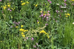 Senioren_20230523_17