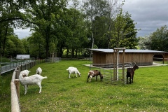 Senioren_20230523_21
