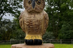 Senioren_20230523_22