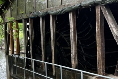 Senioren_20230523_44