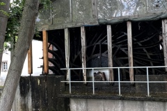 Senioren_20230523_45