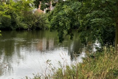 Senioren_20230725_06