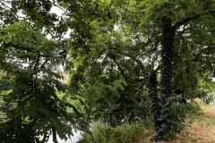 Senioren_20230725_08