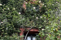 Senioren_20230725_19