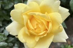 Senioren_20230725_42