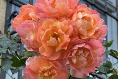 Senioren_20230725_44