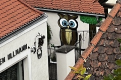 Senioren_20230725_45
