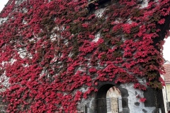 Senioren_20231012_19