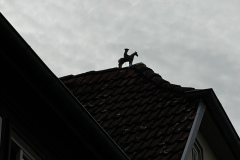 Senioren_20231012_31