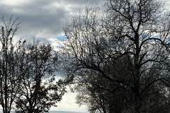Senioren_20231207_08