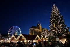 Senioren_20231207_24
