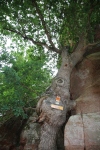 Wandertage_DahnerFelsenland_2022_1_12