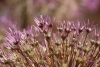 Wandertage_DahnerFelsenland_2022_1_18