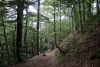 Wandertage_DahnerFelsenland_2022_1_38