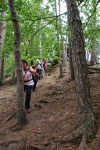 Wandertage_DahnerFelsenland_2022_1_65