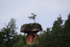 Wandertage_DahnerFelsenland_2022_2_07