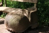 Wandertage_DahnerFelsenland_2022_2_13