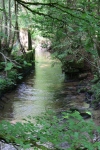 Wandertage_DahnerFelsenland_2022_2_18