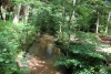 Wandertage_DahnerFelsenland_2022_2_25