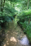 Wandertage_DahnerFelsenland_2022_2_27