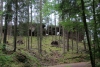 Wandertage_DahnerFelsenland_2022_2_28