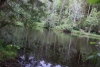 Wandertage_DahnerFelsenland_2022_2_68