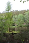 Wandertage_DahnerFelsenland_2022_2_71