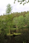 Wandertage_DahnerFelsenland_2022_2_72