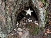 Wandertage_DahnerFelsenland_2022_3_03