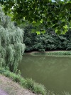 Wandertage_DahnerFelsenland_2022_3_05
