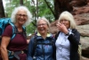 Wandertage_DahnerFelsenland_2022_3_35