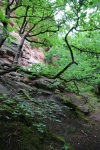 Wandertage_DahnerFelsenland_2022_3_69