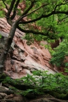 Wandertage_DahnerFelsenland_2022_3_70